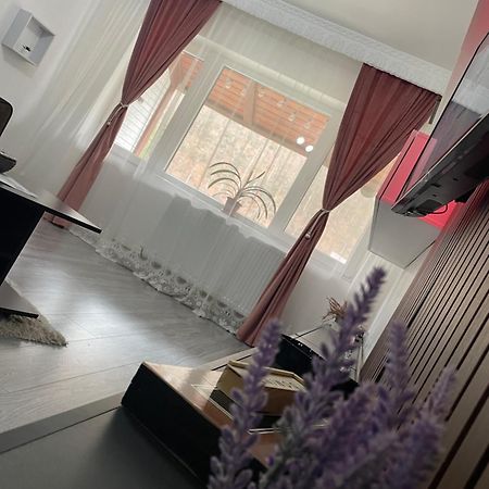 Aky Residence Slănic-Moldova Εξωτερικό φωτογραφία